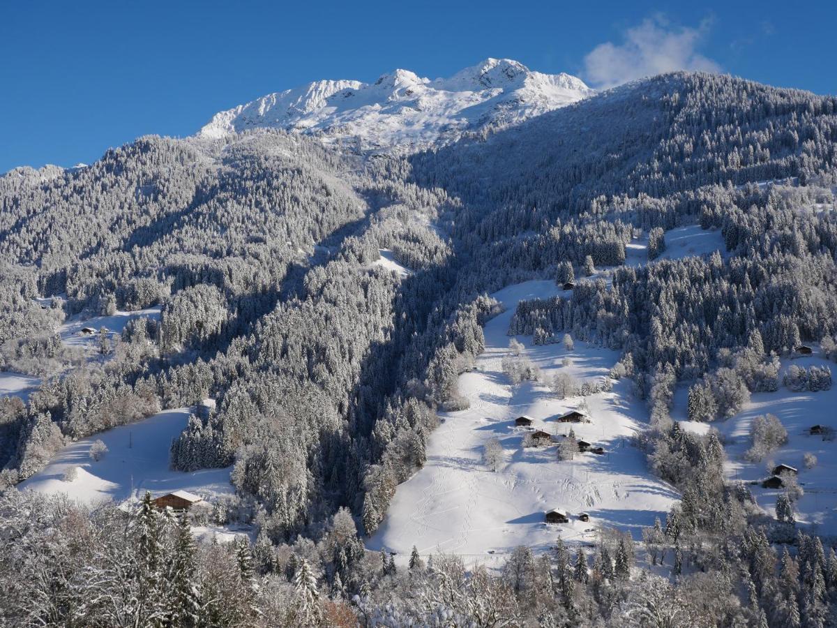 La Ferme D'Hauteluce - Chalets Buitenkant foto